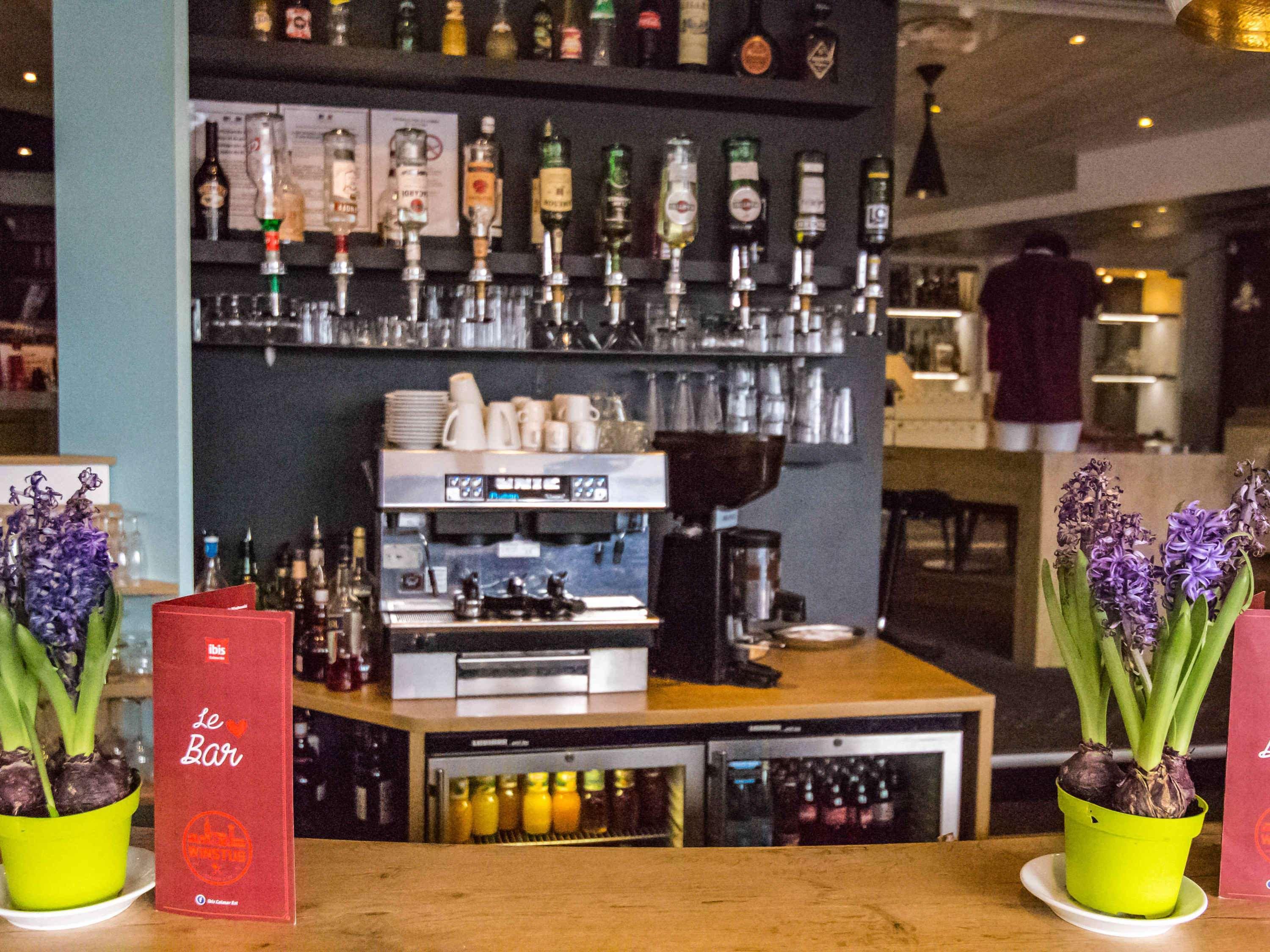Ibis Colmar Est - Hotel Restaurant En Alsace Horbourg-Wihr المظهر الخارجي الصورة